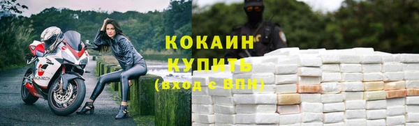 шишки Снежинск