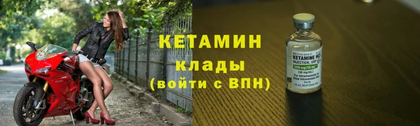 ПСИЛОЦИБИНОВЫЕ ГРИБЫ Сосновый Бор