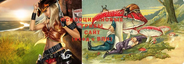 ешки Алексеевка