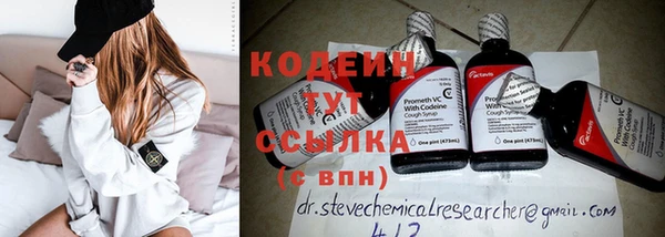 крисы Слюдянка