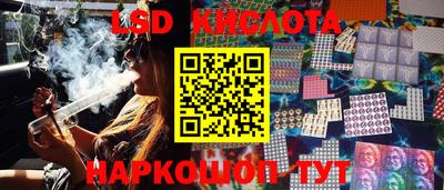 гидра Ставрополь