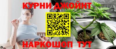 гидра Ставрополь