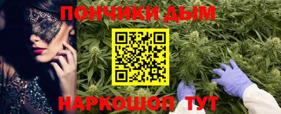 гидра Ставрополь