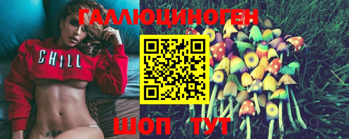 Галлюциногенные грибы Psilocybe  Псилоцибиновые грибы прущие грибы  Саров  Вход с VPN 